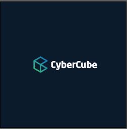 Insights From the IT Crowd – CyberCube Survey Results - Advisen Ltd.